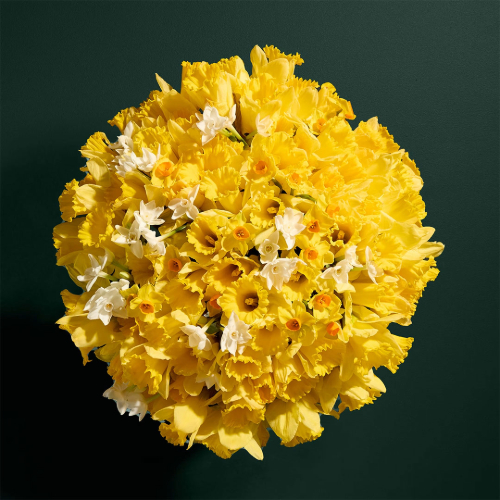 Mother's Day Flowers Gift | Oxford Street