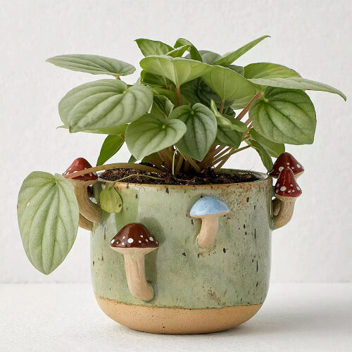 Christmas Presents For Her | Oxford Street