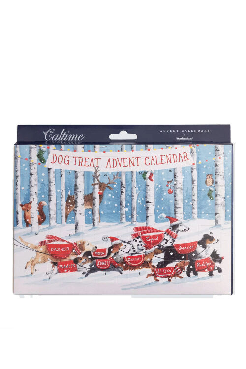 Dog Advent Calendar | Oxford Street