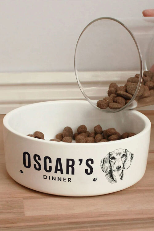 Dog Xmas Presents | Oxford Street