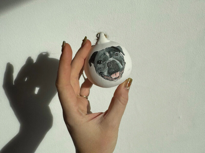 Festive Portrait Pets Present | Oxford Street