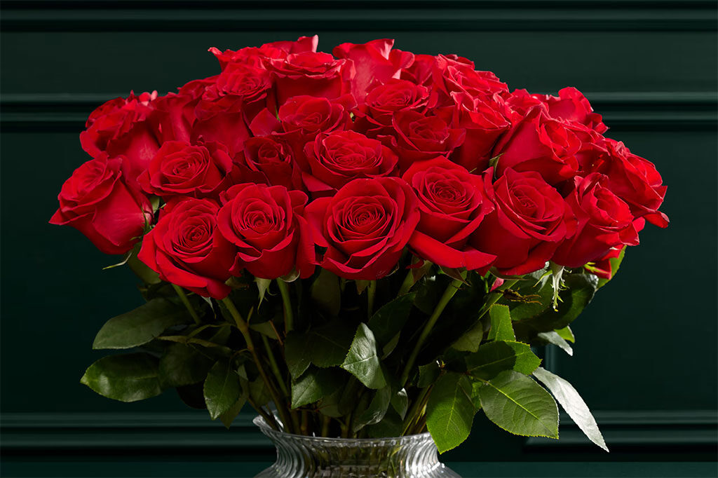 Valentine's Day 2026 Gift Ideas | Oxford Street