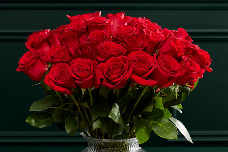 Valentine's Day 2026 Gift Ideas | Oxford Street